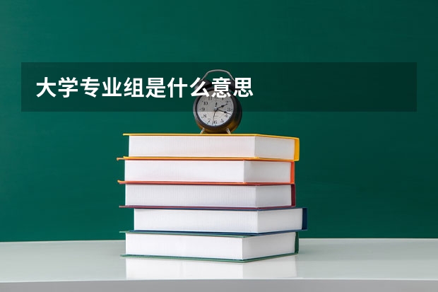 大学专业组是什么意思