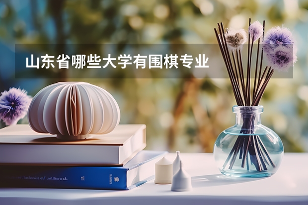 山东省哪些大学有围棋专业