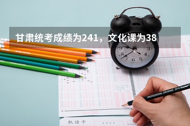 甘肃统考成绩为241,文化课为380在省内能上什么学校