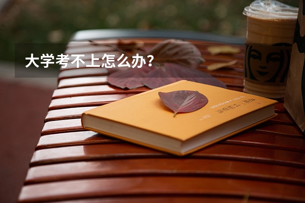 大学考不上怎么办？