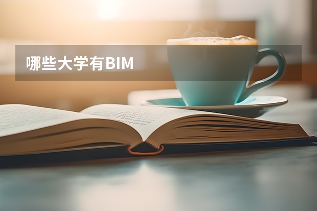 哪些大学有BIM