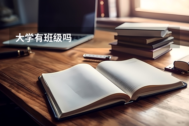 大学有班级吗