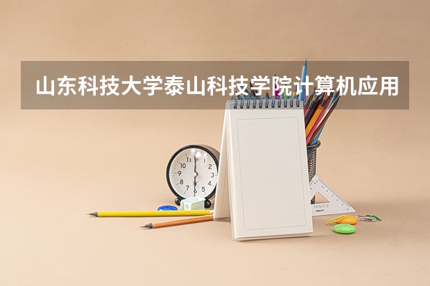 山东科技大学泰山科技学院计算机应用技术专业就业前景怎么样?