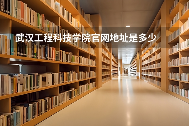 武汉工程科技学院官网地址是多少