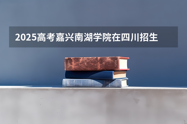 2025高考嘉兴南湖学院在四川招生计划（2026参考）