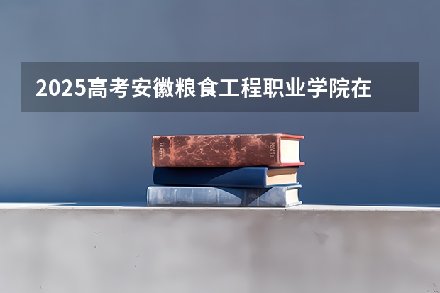 2025高考安徽粮食工程职业学院在四川招生计划（2026参考）
