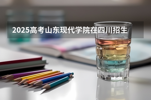 2025高考山东现代学院在四川招生计划（2026参考）