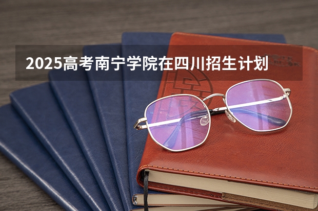 2025高考南宁学院在四川招生计划（2026参考）