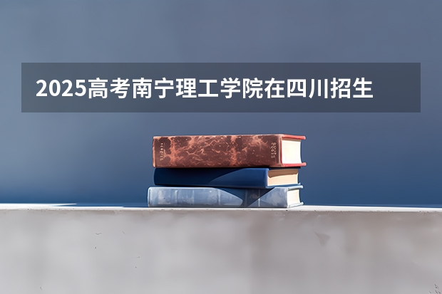 2025高考南宁理工学院在四川招生计划（2026参考）